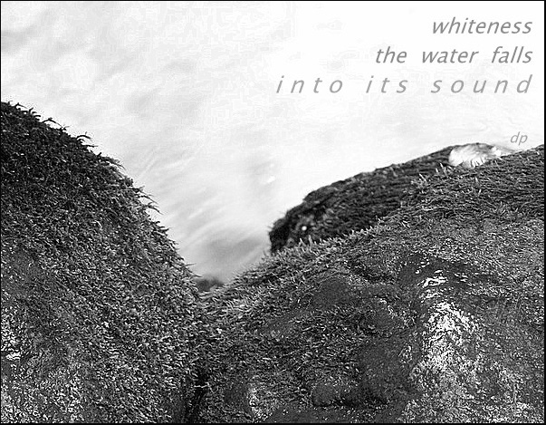 'whiteness / the water falls / into its sound' by Dorota Pyra. Translated by Lech Seglowski.