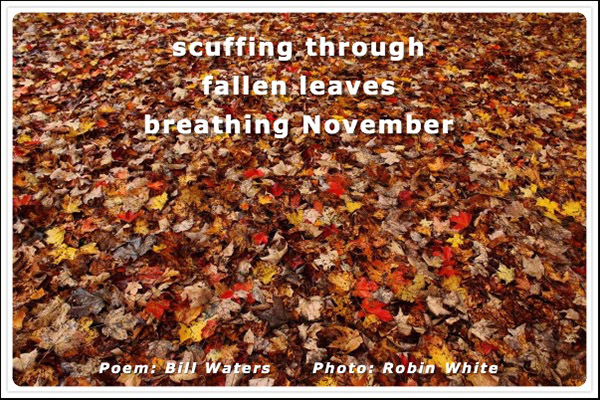 'scuffing through / fallen leaves / breathing November' by Bill Waters. Art by Robin White