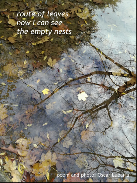 'route of leaves / now I can see / the empty nests' by Oscar Luparia