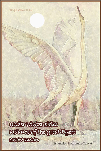 'under winter skies / a dance of the great egret / snow moon' by Estanislao Rodriguez-Cuevas
