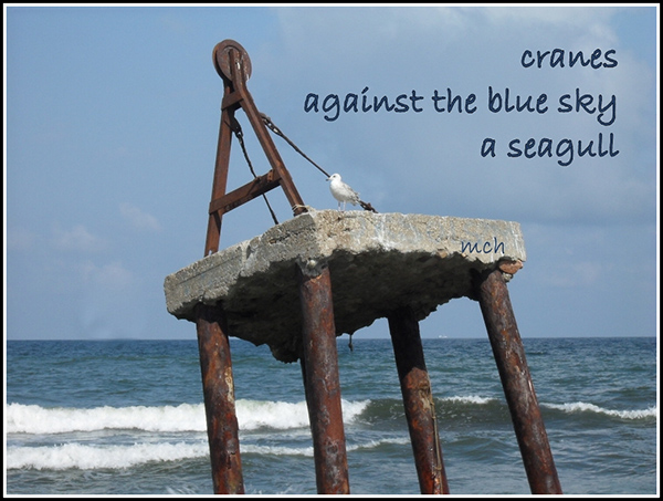'cranes / against the blue sky / a seagull' by Marta Chocilowska