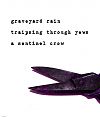 'graveyard rain / traipsing through the yews / a sentinel crow' by John Hawkhead