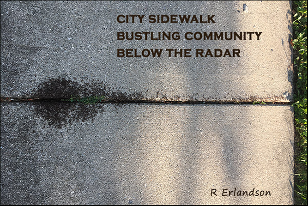 'city sidewalk / bustling community / below the radar' by Robert Erlandson