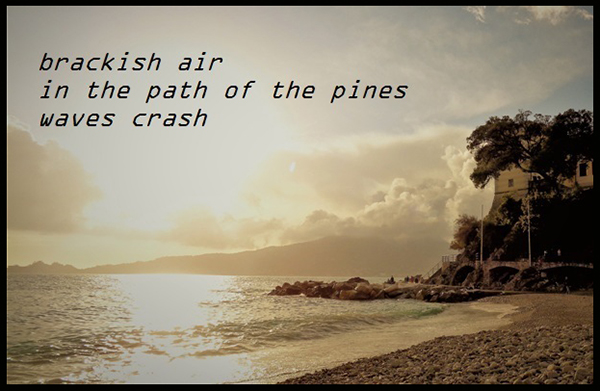 'brackish air / in the path of the pines / waves crash' by Angiola Inglese
