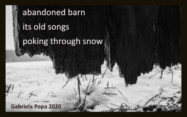 'abandoned barn / its old songs / poking through snow' by Gabriela Popa