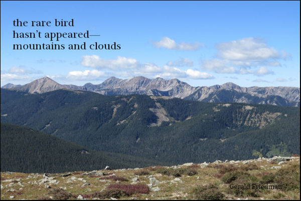 'the rare bird / hasn't appeared— / mountains and clouds' by Gerald Friedman