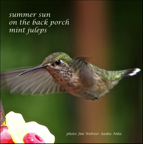 'summer sun / on the back porch / mint juleps' by Nika. Art by Jim Webster
