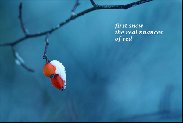 'first snow / the real nuances / of red" by Vladislav Hristov
