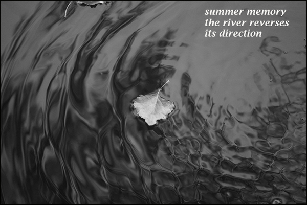 'summer memory / the river reverses / its direction' by Vladislav Hristov