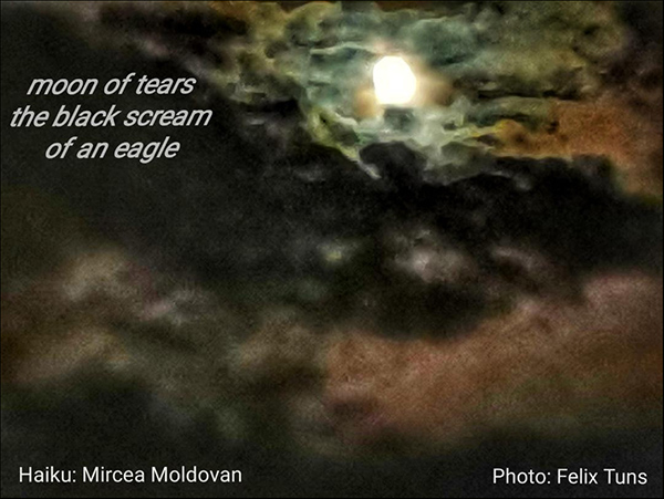 'moon of tears / the black scream / of an eagle' by Mircea Moldovan. Photo by Felix Tuns.