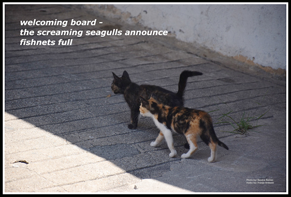 'welcoming board— / the screaming  seagulls announce / fishnets full' by Franjo Ordanic.  Art by Sandra Samic