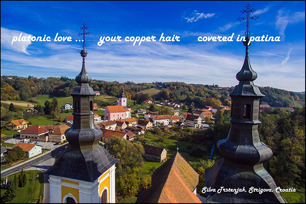 'platonic love... / your copper hair / covered in patina' by Silvia Trstenjak
