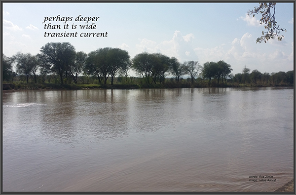 'perhaps deeper / than it is wide / transient current' by Hifsa Ashraf. Haiku by Eva Zimet