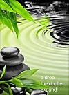 'a drop / the ripples  / expand' by Ram Chandran