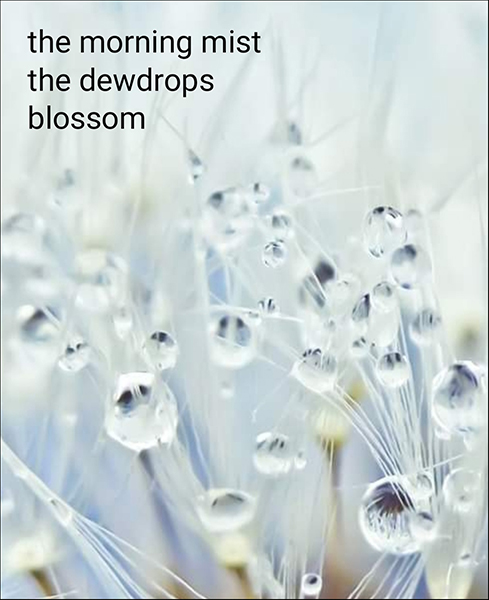 'the morning mist / the dewdrops / blossom' by Ram Chandran