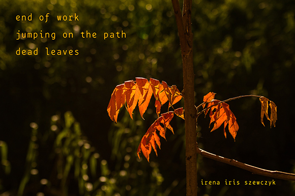 'end of work / jumping on the path / dead leaves' by Irena Szewczyk