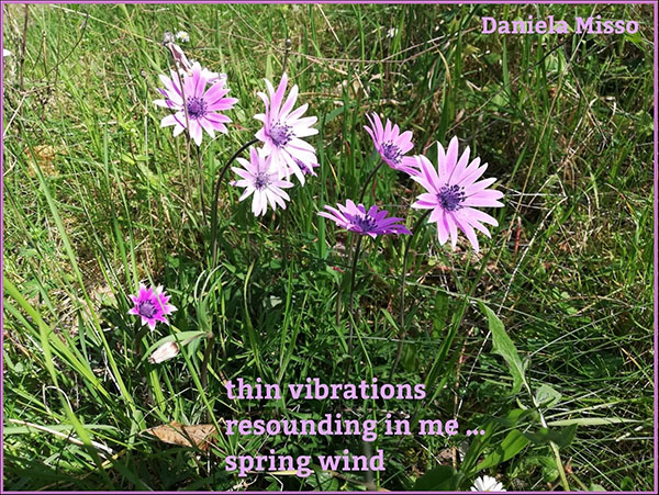 'thin vibrations / resounding in me... / spring wind' by Daniela Misso