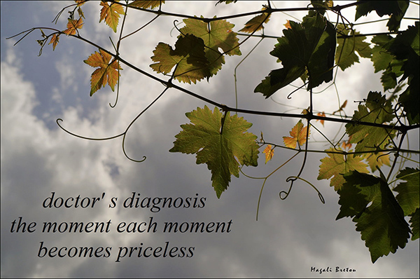 'doctors diagnosis / the moment each moment / becomes priceless' by Hassane Zemmouri. Art by Magali Bretou