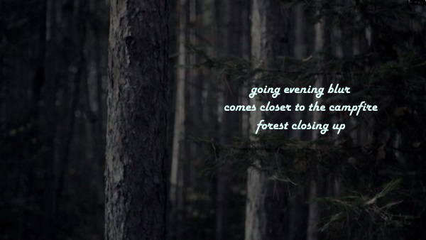 'going evening blur / come closer to the campfire / forest closing up' by Amin Jacek Pedziwiater