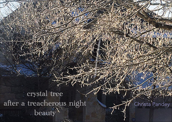 'crystal tree / after a treacherous night / beauty'by Christa Pandey