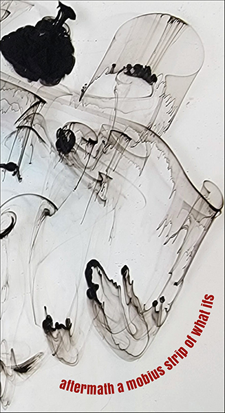 'aftermath a mobius strip of what ifs' by Julie Schwerin