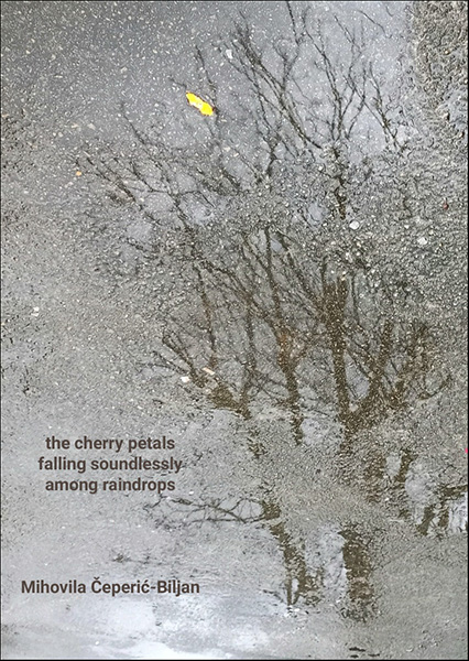 'the cherry petals / falling soundlessly / among raindrops' by Mihovila Biljan