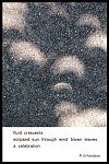 'fluid crescents / eclipsed sun through wind blown leaves / a celebration' by Robert Erlandson