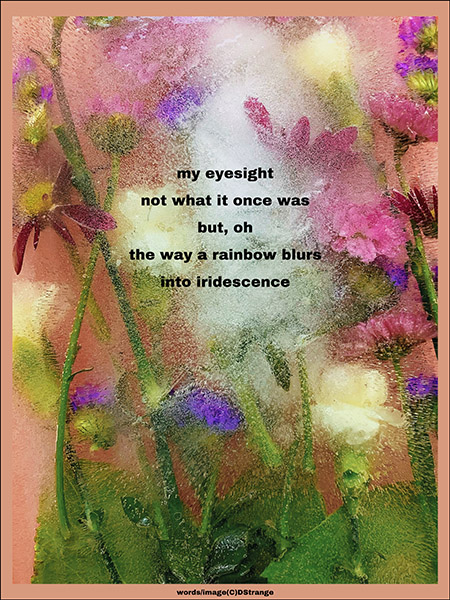 'my eyesight / not what is once was / but, oh / the way a rainbow blurs / into iridescence' by Debbie Strange. Tanka first published in Gusts 33, 2021