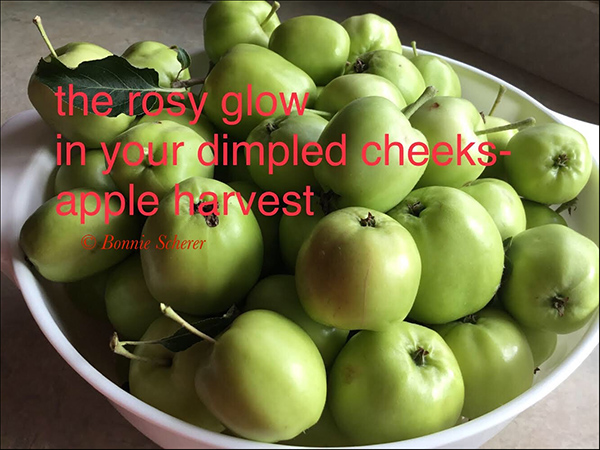 "the rosy glow / in your dimpled cheeks— / apple harvest' by Bonnie Scherer