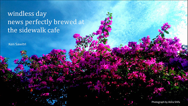 'windless day / news perfectly brewed at / at the sidewalk cafe' by Ken Sawitri. Art by Aisha Shifa