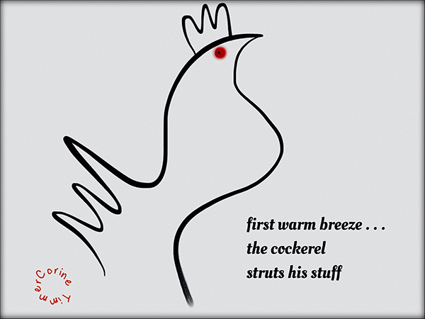 'first warm breeze... / the cockerel / struts his stuff' by Corine Timmer
