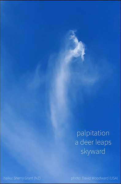 'palpitations / a deer leaps / skyward" by Sherry Grant. Art by David Woodward