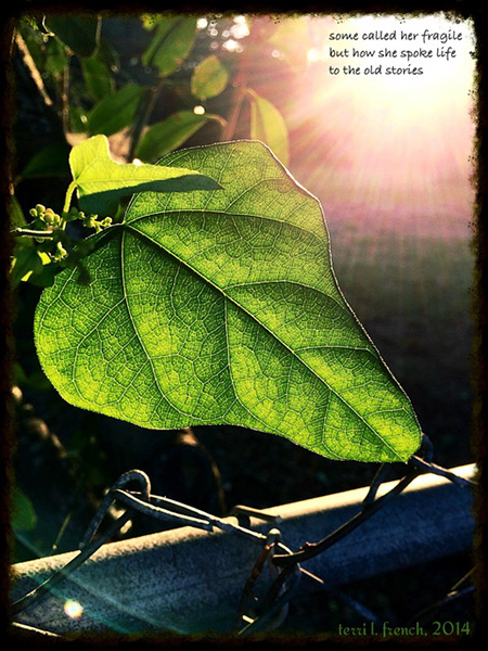 'some called her fragile /  but how she spoke life / to the old stories' by Terri French