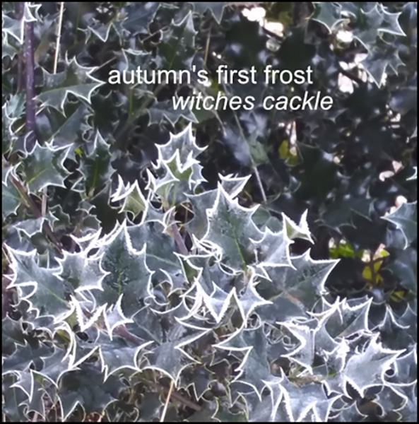 'autumn's first frost / witches cackle' by Susan Lee Roberts