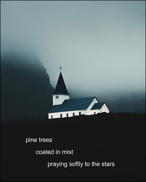 'pine trees / coated in mist / praying softly to the stars' by Gwen Zanin
