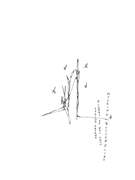 'spring crocus / flurries of wet snow / mocking butterflies ' by Luke Brannon