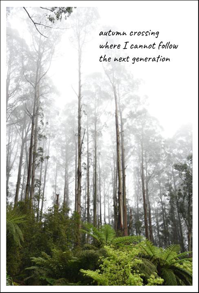 'autumn crossing / where i cannot follow / the next generation' by Alice Wanderer. Are by Di Cousens