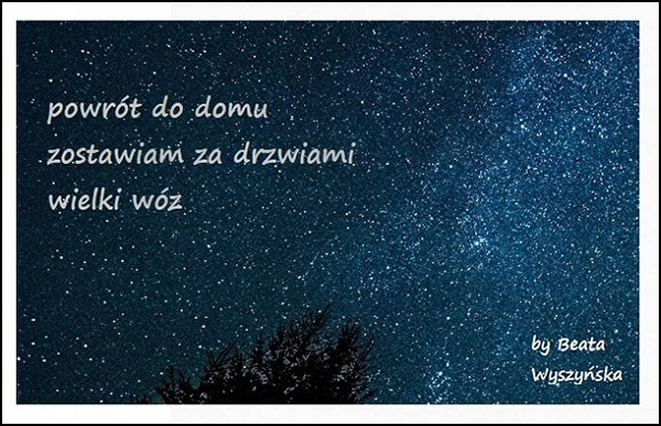 'back home / i leave it at the door / big dipper' by Beata Wyszynska