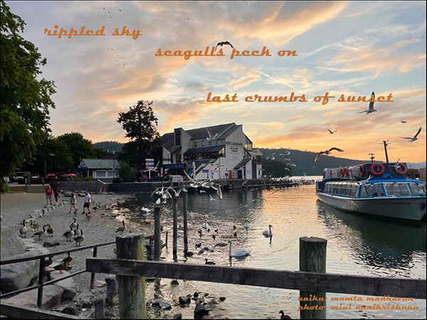 'rippled sky / seagulls peck on / last crumbs of sunset' by Mamta Madhaven. Art by Mini Unnikrishnan