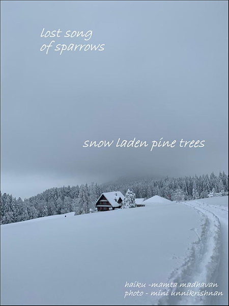 'lost song / of sparrows / snow laden pine trees' by Mamta Madhavan. Art by Mini Unnikrishnan