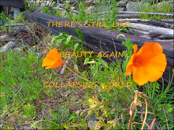 'there's still life / beauty again / collapsing world' by Romano Zeraschi