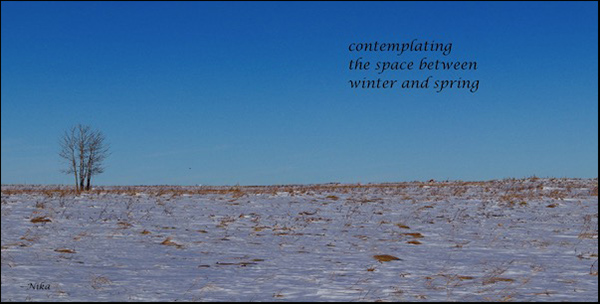 'contemplating / the space between / winter and spring' by Nika