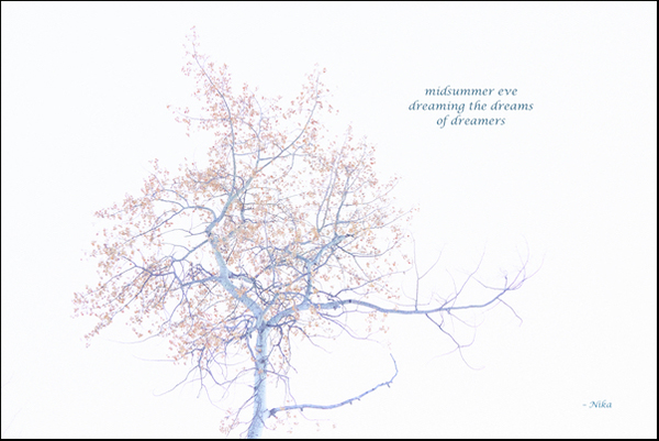 'midsummer eve / dreaming the dreams / of dreamers' by Nika