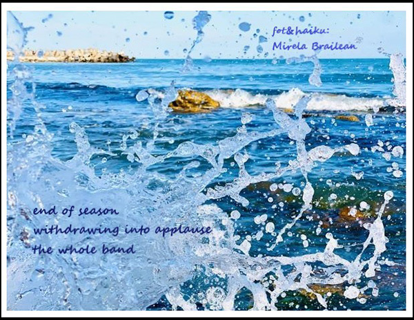 'end of season / withdrawing into applause / the whole band" by Mirela Brailean