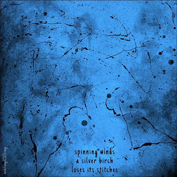 'spinning winds / a silver birch / loses its stitches' by Debbie Strange.  Haiku first published in Kingfisher 7, 2023