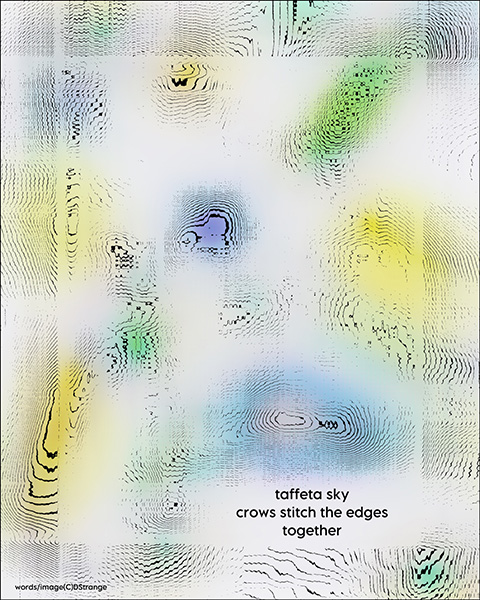'taffeta sky / crows stitch the edges / together' by Debbie Strange. Haiku first published in Enchanted Garden Haiku Journal 2, 2023