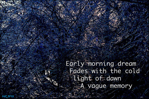 'early morning dream / fades with the cold / light of dawn / a vague memory' by Paul Zalewski