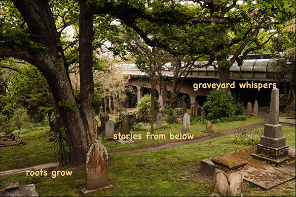 'roots grow / stories from below / graveyard whispers' by Warwick Rope