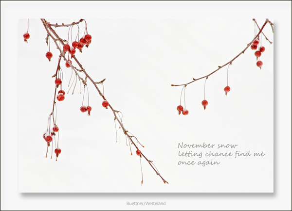 'November snow / letting chance find me / once again' by Marjorie Buettner. Art by Michael Wetteland.