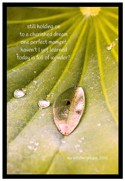 'still holding on / to a cherished dream / one perfect moment / haven't I yet learned / today is full of wonder? /' by Marietta McGregor